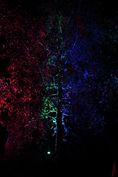 Illumina   034.jpg